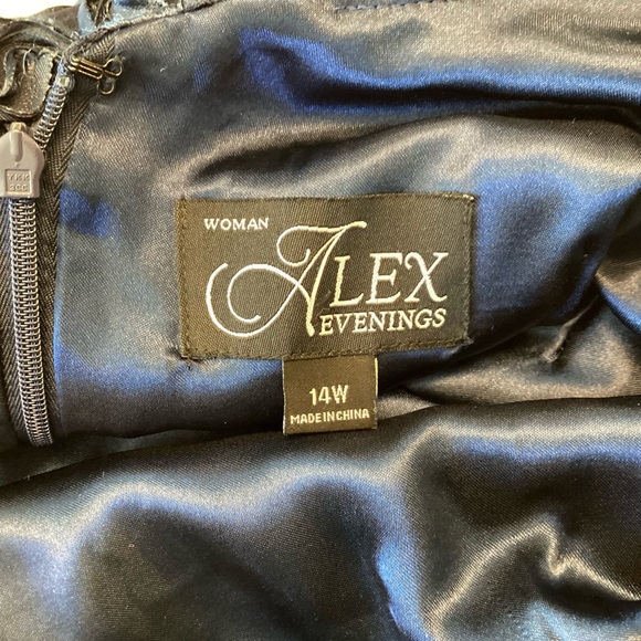 Alex Evenings Embellished Fit and Flare Soutache on Tulle Dress - Blue - 14W - Picture 9 of 10